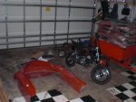 CIMG0110.JPG
