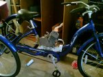 Snapshot_20081118.jpg