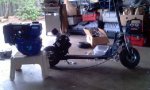 scooty.jpg