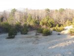 IMG_1562.jpg