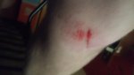 15666825489571938512166.jpg
