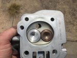 D06DB208-AA95-414F-BFBA-4C4BCE49B3E5.jpg