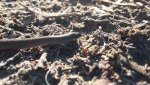 20191213_092600.jpg