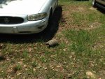 IMG_2033.jpg