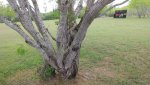 20180324_130722.jpg