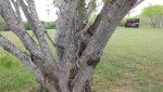 20180324_130838.jpg