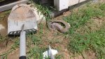 20180609_114825.jpg