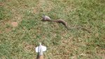 20180609_114843.jpg