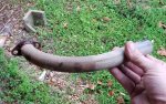 20200113_083332.jpg