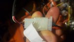 20200306_025806.jpg