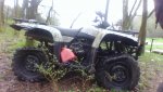 IMG_20200323_105534.jpg