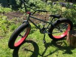 Fat Bike.jpg