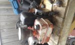 20200610_170829.jpg