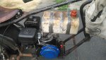 IMG_20200731_190545.jpg