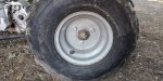 IMG_20200729_155128.jpg