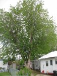 IMG_0682.jpg