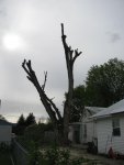 IMG_0686.jpg