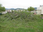 IMG_0688.jpg