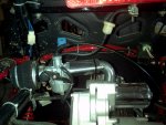 IMG_20110525_184407.jpg