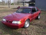 Mustang clean 013.JPG