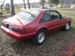 Mustang clean 016.JPG