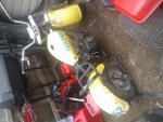 20200814_093213.jpg