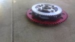 IMG_20201012_153853.jpg