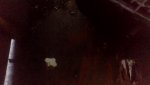 IMG_20201015_172114.jpg