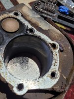 20201105_113555.jpg