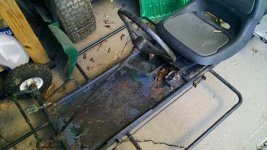 IMG_20201118_122248033.jpg