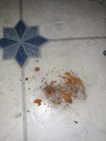 20201127_204556.jpg