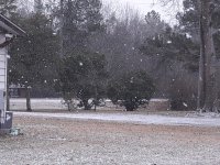 20210216_074838.jpg