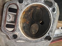IMG_20200907_202735.jpg