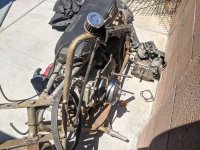 IMG_20210628_112602.jpg