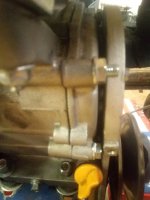 IMG_20210825_130501.jpg