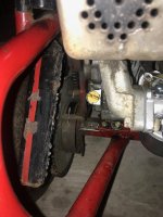 IMG_8964.jpeg