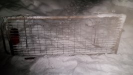 20211210_005007.jpg 20211210_005007.jpg