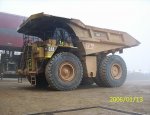 cat793c.jpg