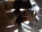 quad 230cc china 006.jpg