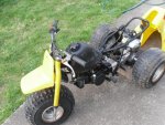 SDC11099.jpg