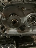 FDB0E36A-4522-450C-AA30-EA08C2A6D417.jpeg