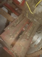 IMG_20220704_073556.jpg