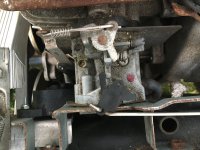 DAF8A6C2-60D2-4E46-8F53-1CFB2D595B0D.jpeg