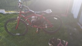 IMG_20220108_135034029.jpg
