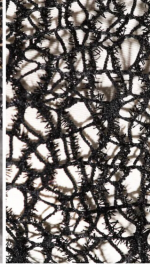 9758895D-8770-4C0E-ABE0-36217A51036A.png 9758895D-8770-4C0E-ABE0-36217A51036A.png