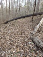 20230405_165848.jpg 20230405_165848.jpg