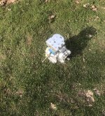 4C52D4F2-EA7E-4179-BF5B-7FFA40D54990.jpeg