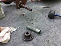 IMG_3151.jpeg