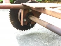 IMG_3152.jpeg