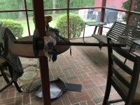 IMG_3165.jpeg